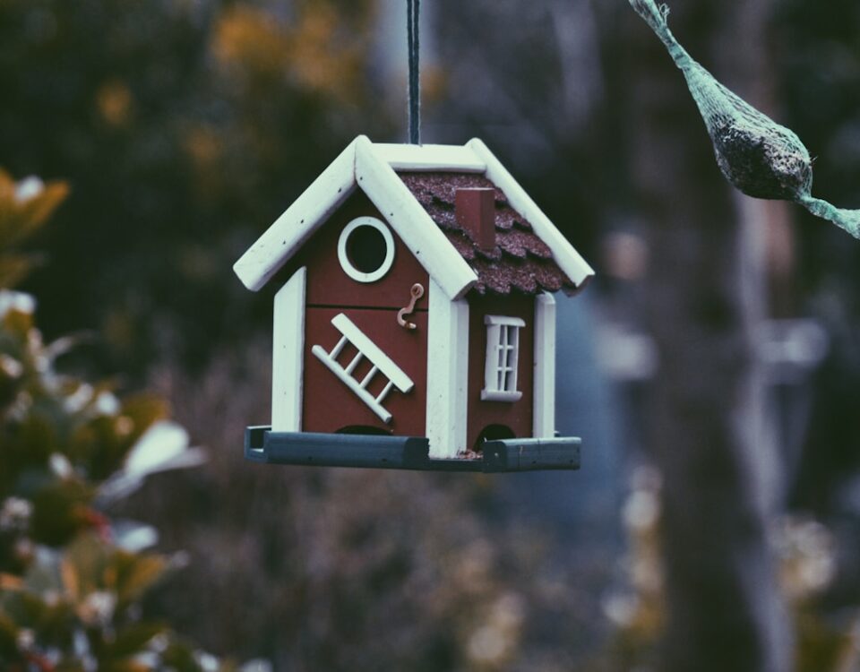 Seguro Fiança reduz a preocupação com a estabilidade do lar closeup photo of red and white bird house