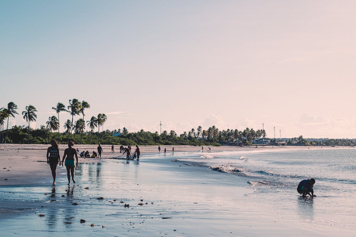 Como evitar doenças comuns ao visitar cidades brasileiras litorâneas People Walking on a Beach with Palm Trees