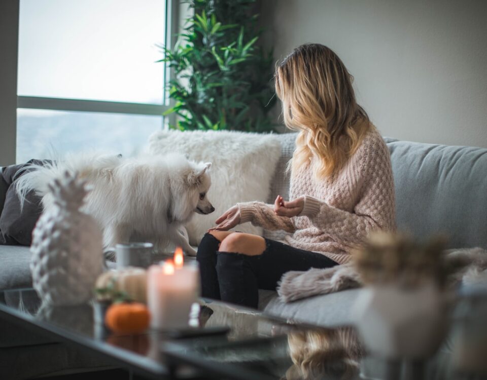 Benefícios emocionais de renovar a decoração da sua casa woman sitting on sofa while holding food for dog