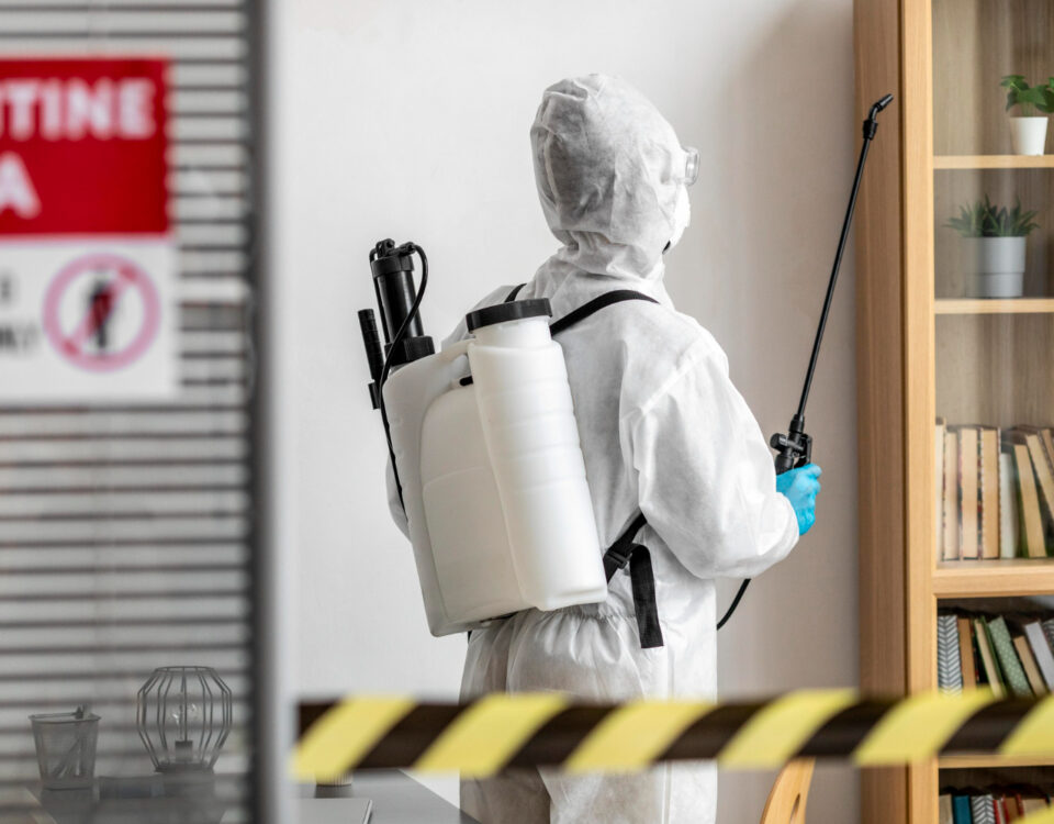 Dedetização pode afetar a saúde? Veja como se proteger Dedetização pode afetar a saúde? Veja como se proteger