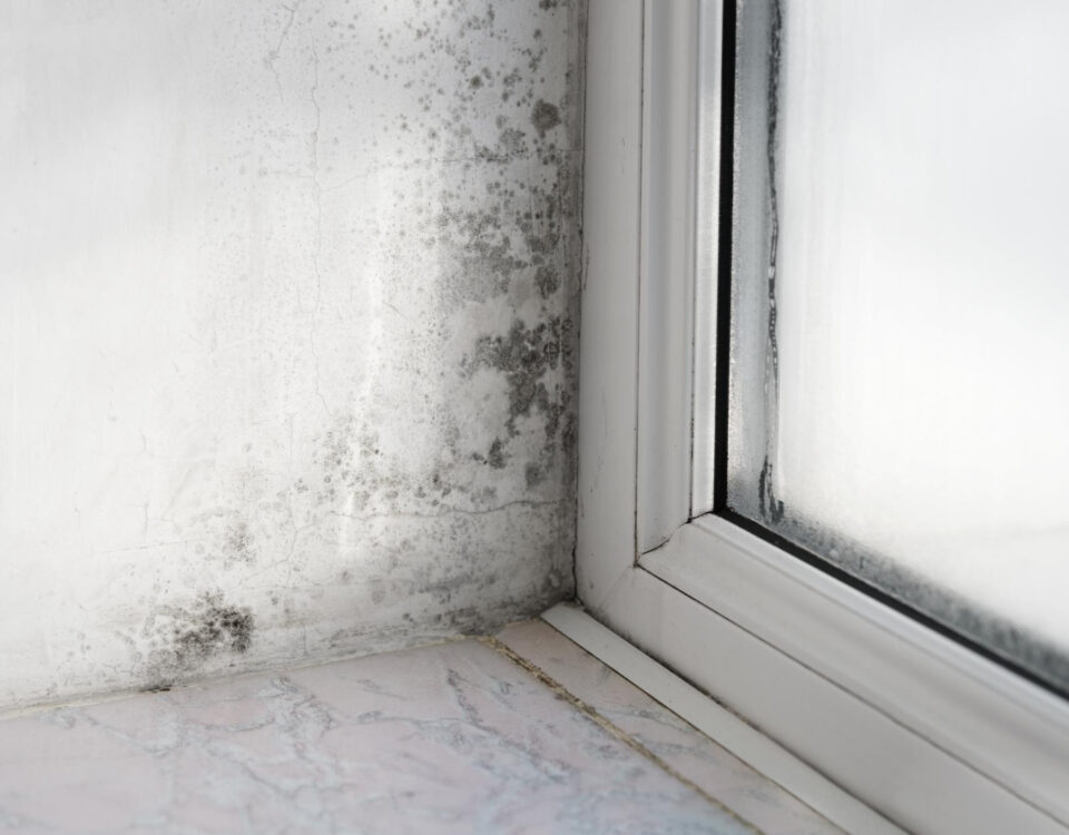 Como a umidade excessiva pode afetar sua saúde Como a umidade excessiva pode afetar sua saúde