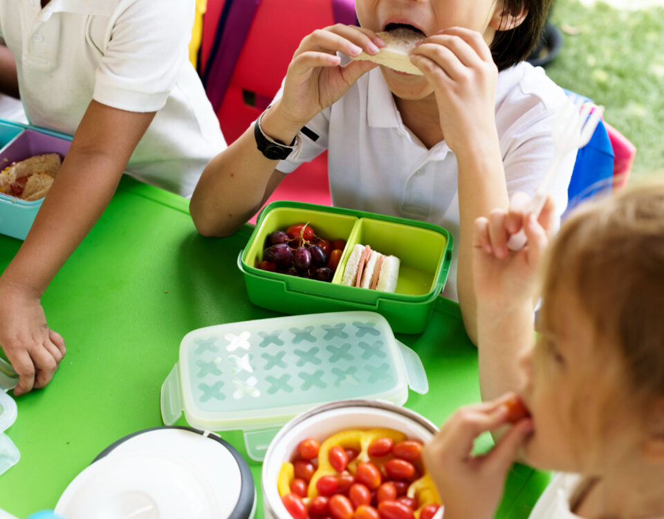 Alimentação escolar pode prevenir doenças na infância? Alimentação escolar pode prevenir doenças na infância?