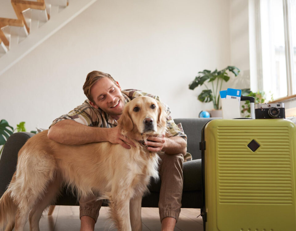 Seguro viagem para pets: vale a pena? Como funciona? Seguro viagem para pets: vale a pena? Como funciona?