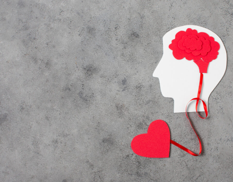 Inteligência emocional como aliada da saúde mental