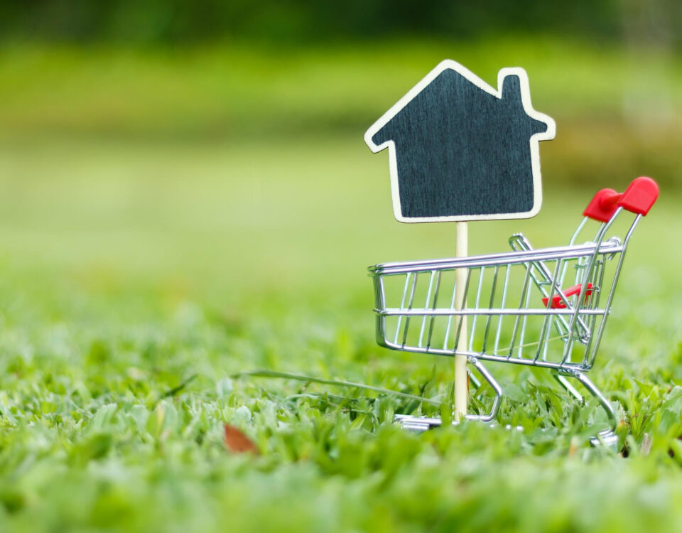 Biofilia e áreas verdes aceleram decisões de compra? Biofilia e áreas verdes aceleram decisões de compra?