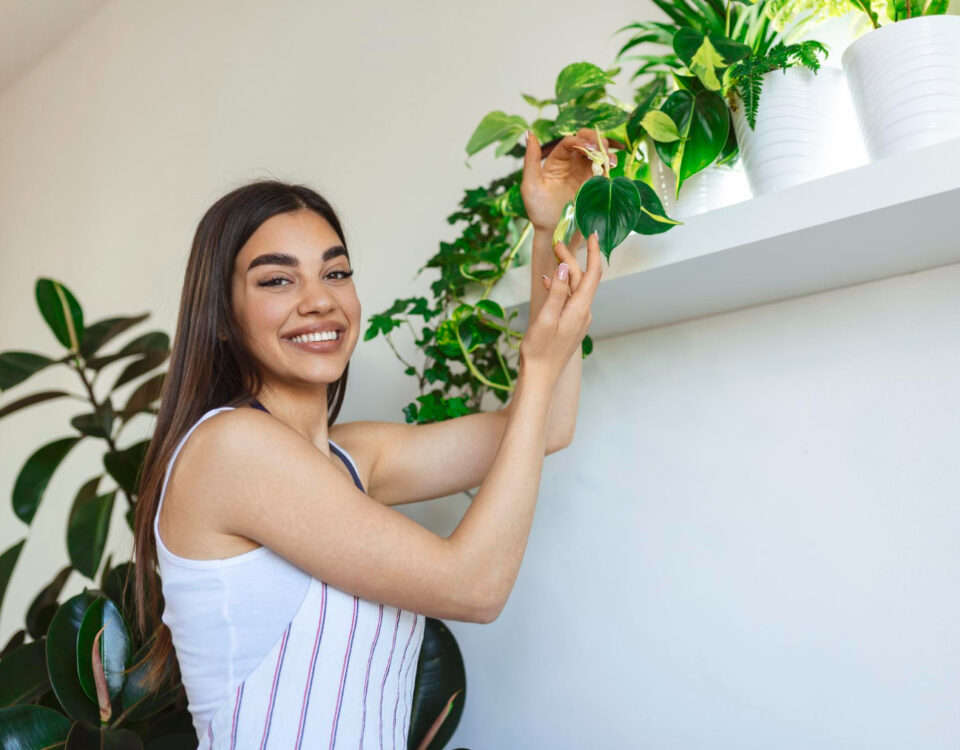 Ar mais limpo em casa com plantas? O que dizem os dados Ar mais limpo em casa com plantas? O que dizem os dados