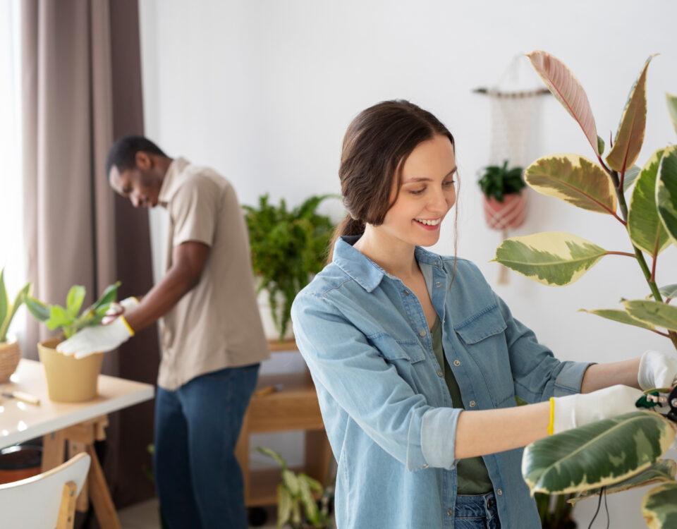 Como o ambiente doméstico influencia a saúde diária