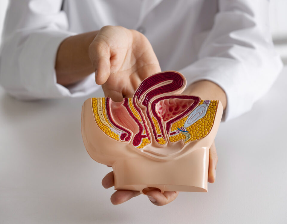 O que leva mais pessoas a buscar proctologistas hoje