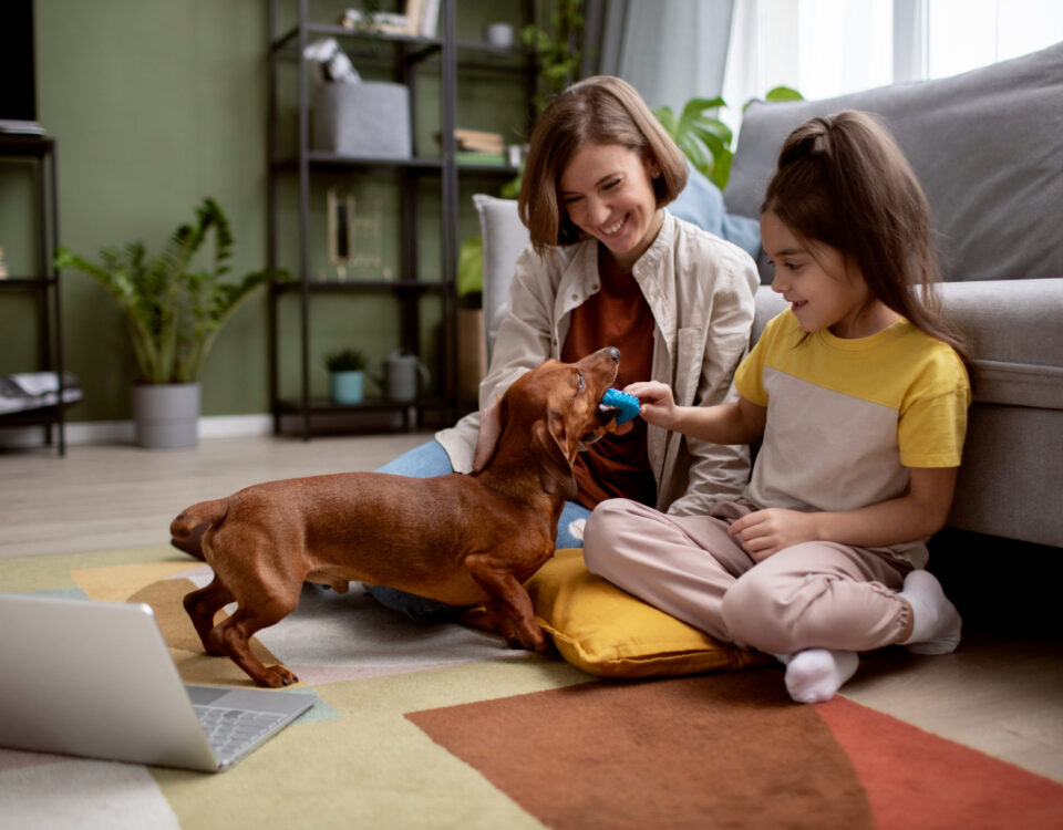 A saúde do pet pode influenciar o bem-estar da família?