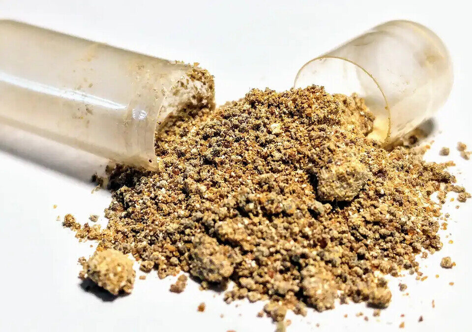 Cápsula aberta com pó de ashwagandha espalhado sobre fundo branco