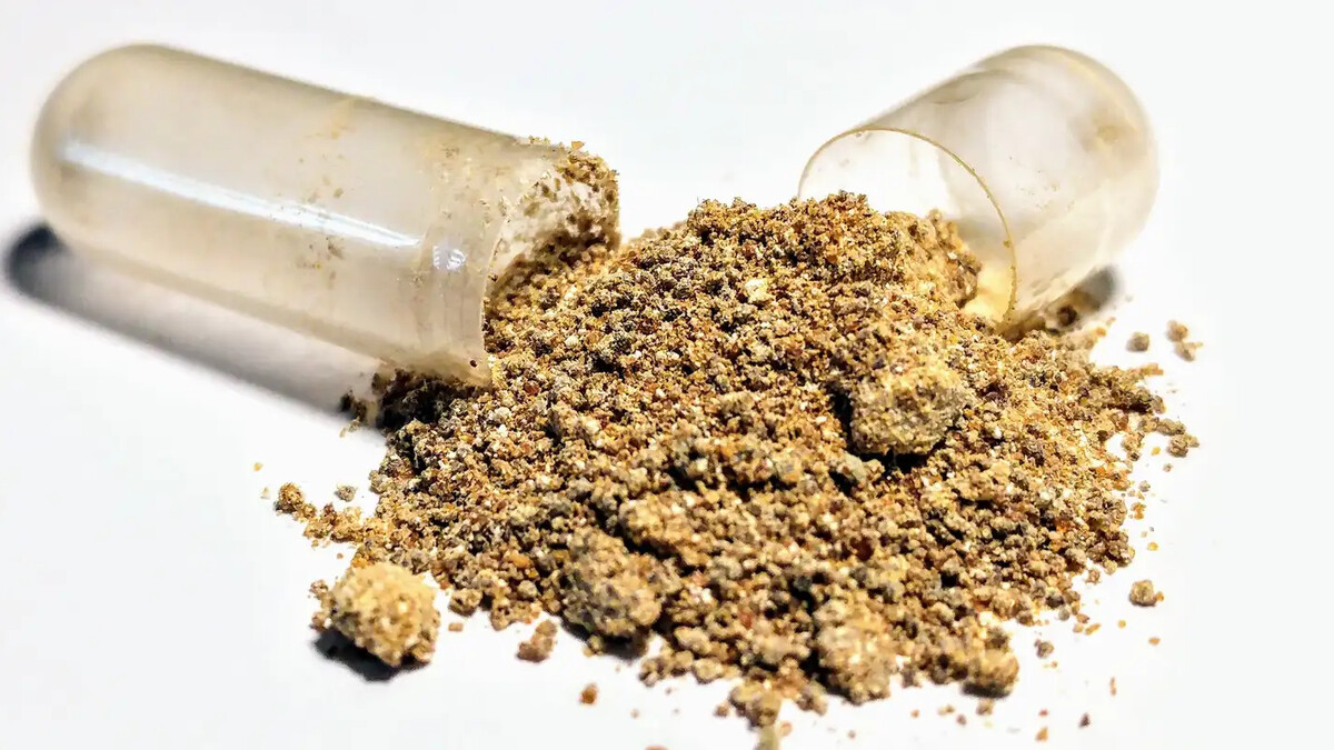 Cápsula aberta com pó de ashwagandha espalhado sobre fundo branco