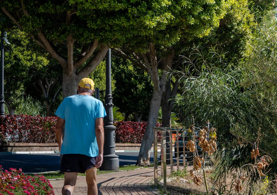 Caminhar depois do almoço realmente ajuda a controlar a glicose?