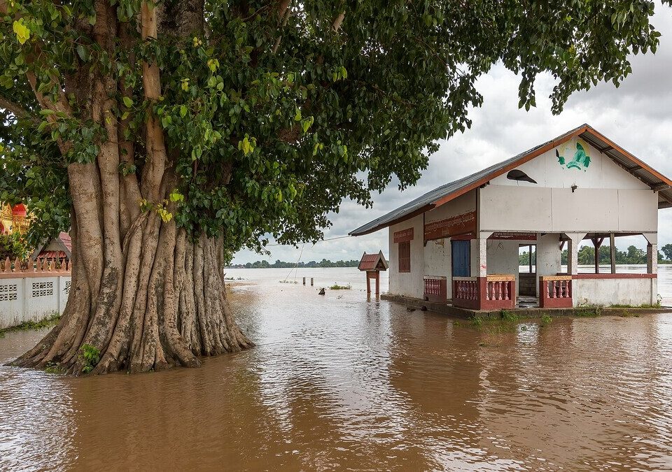 Construção e árvore cercadas por água barrenta de enchente