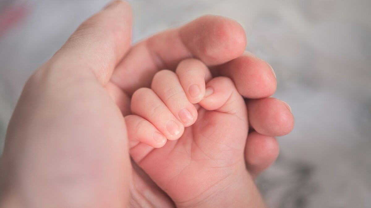 Vacina de hepatite B ao nascer: por que não adiar a dose do bebê Mão de um bebê recém-nascido segurando o dedo de um adulto